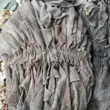 牛百叶，毛肚，成色好，个大，纯干鲜货长期批发，可发样品