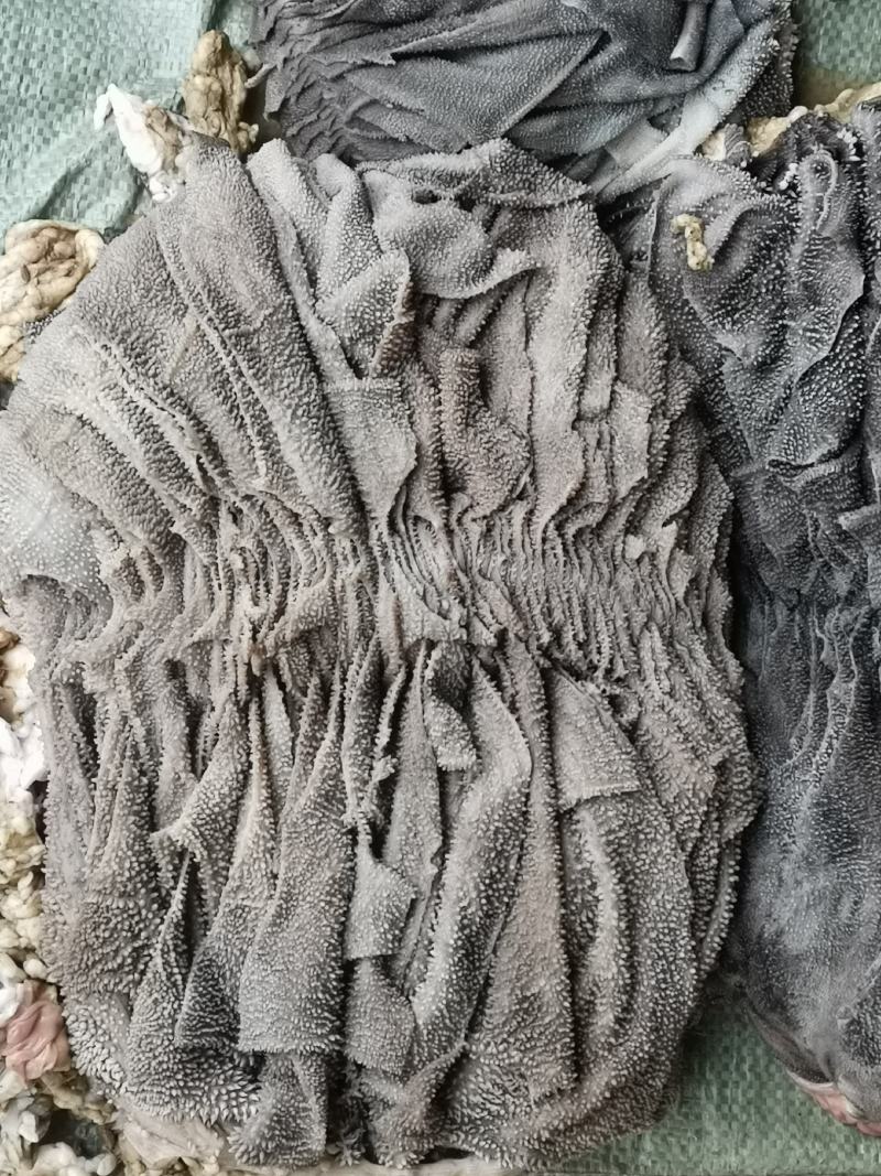 牛百叶，毛肚，成色好，个大，纯干鲜货长期批发，可发样品