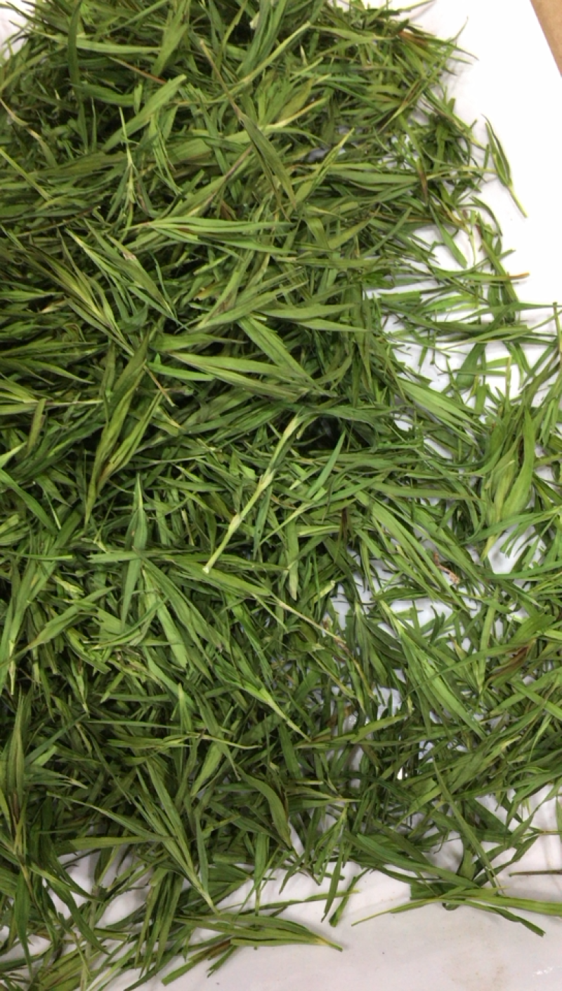 石竹茶竹叶茶2026年青竹叶淡竹叶青竹叶茶竹叶