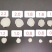 【包邮】白参片吉林长白山0.8~1.8直径各种规格