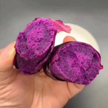 精品紫薯紫罗兰大量上市支持一件代发，爆品