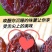 紫玫瑰葡萄干新疆葡萄干休闲零食葡萄干包邮