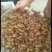 金蝉，蝉蛹，知了猴，爬叉，吗知了，产地直供，量大从优