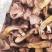 松蘑干。肉蘑干。有需要的联系我