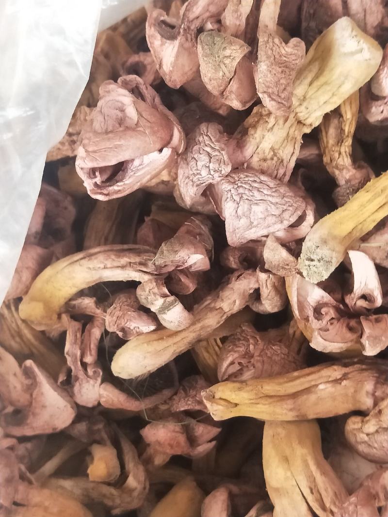 松蘑干。肉蘑干。有需要的联系我