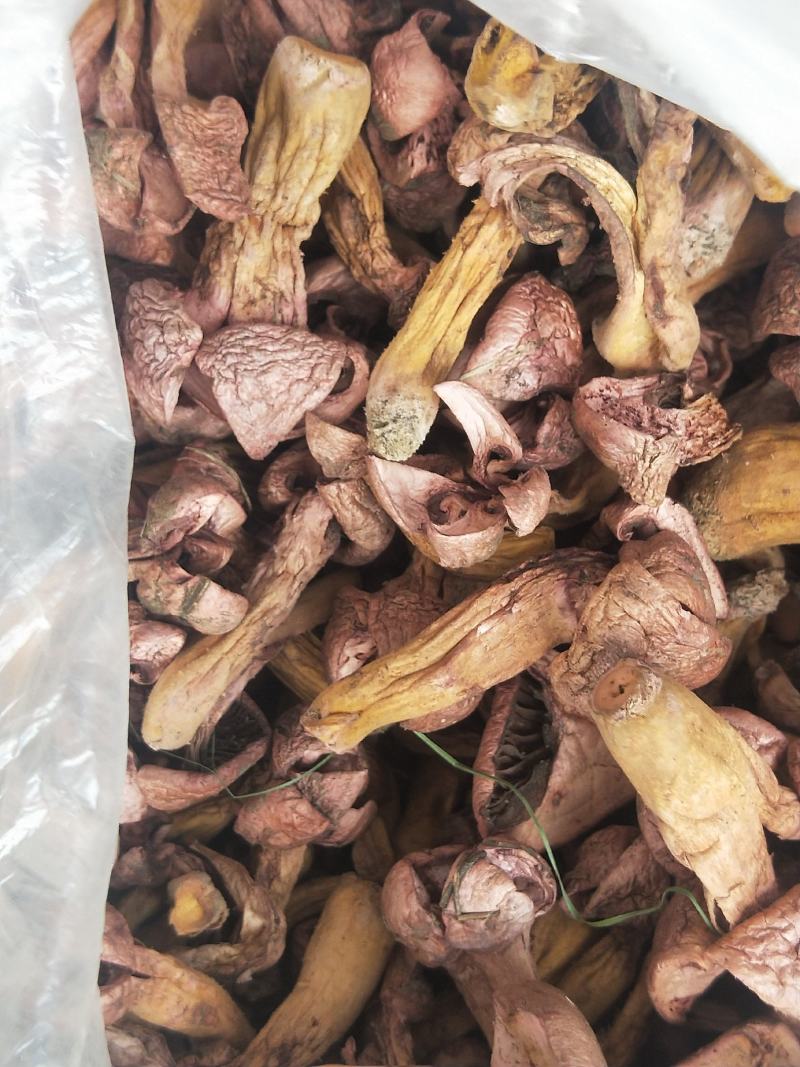 松蘑干。肉蘑干。有需要的联系我
