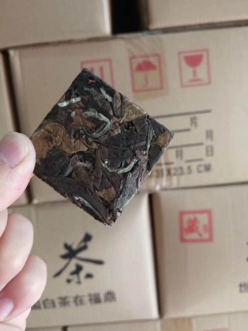 福建省，福鼎白茶