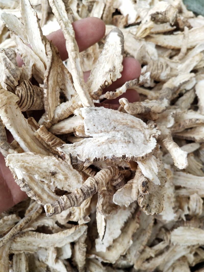 野生中药材，四叶参，别名山海螺，批发，零售，价格实惠