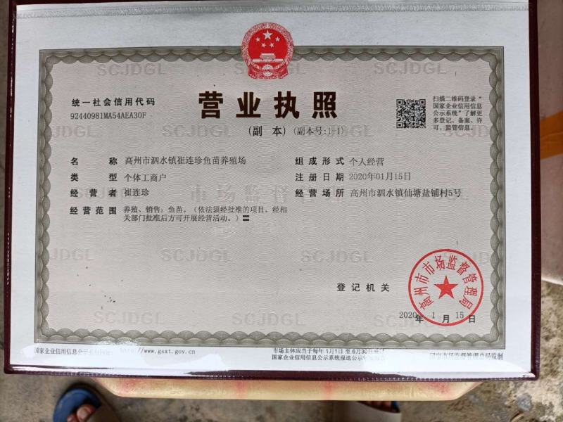 红鲳鱼苗又叫淡水白鲳鱼苗（支持水花批发）支持到现在看货