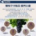 绿香妃葡萄干新疆特产葡萄干休闲零食葡萄干包邮