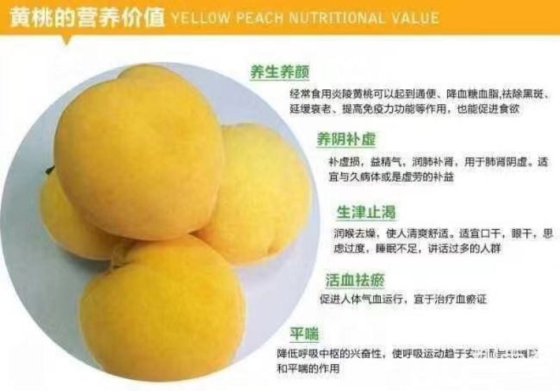 嘉兴银霆农业有限公司--银霆农业之锦绣黄桃