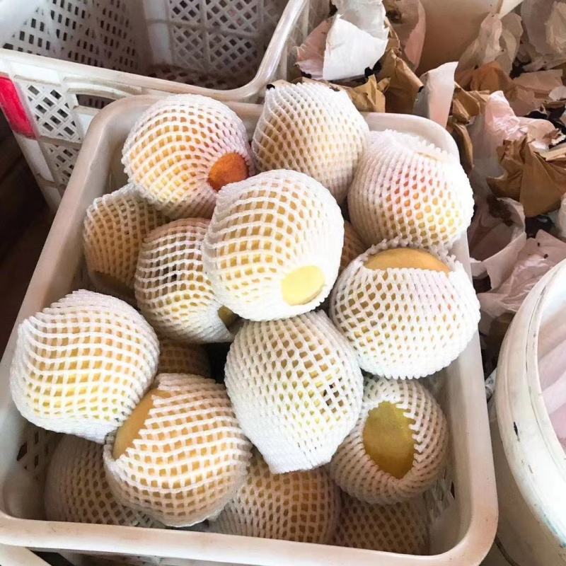 嘉兴银霆农业有限公司--银霆农业之锦绣黄桃