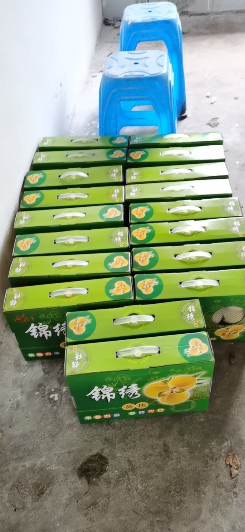 嘉兴银霆农业有限公司--银霆农业之锦绣黄桃
