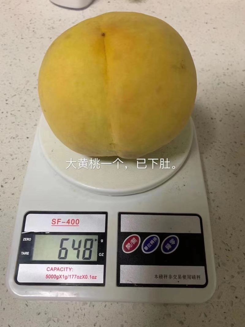 嘉兴银霆农业有限公司--银霆农业之锦绣黄桃