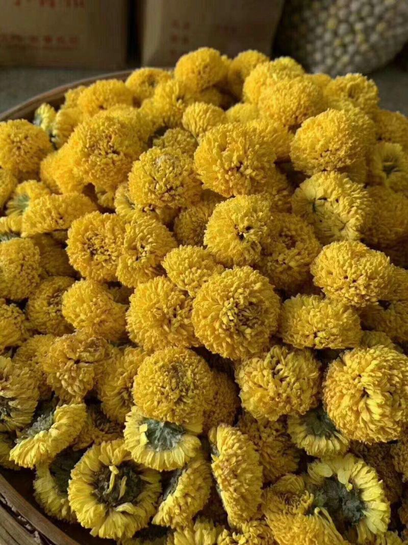 菊花茶菊花金丝皇菊黄菊花茶贡菊胎菊绣球花大花朵金丝黄菊