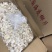 无硫海底椰片海底椰片新到货新货椰片