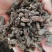 野生天葵子干天葵子紫背天葵子千年老鼠屎