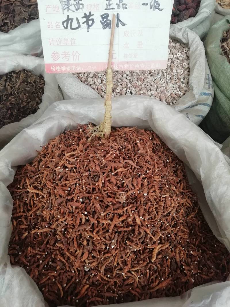 中药材精选新货九节菖蒲，野生九节菖蒲正品小菖蒲