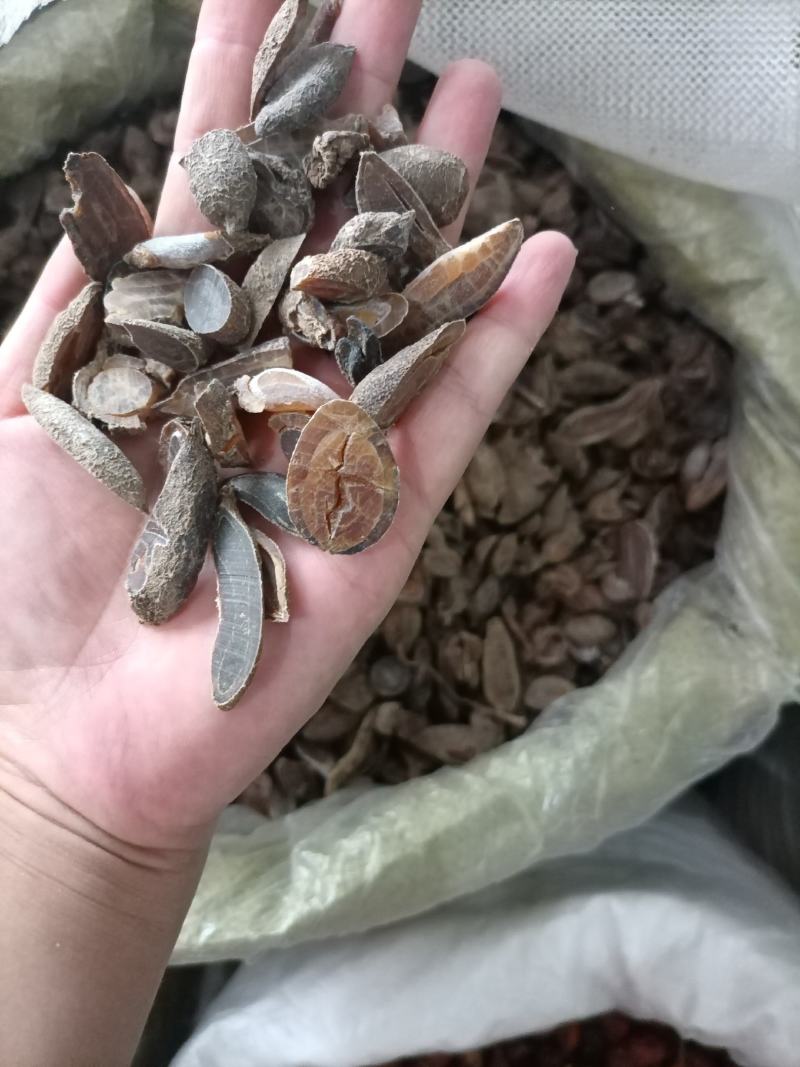 【傲宇药材】郁金实图实拍量大从优，欢迎选购