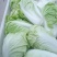 夏阳白菜，2020年白菜上市，现出现装，