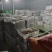 2025新鲜Ｂ级米板栗仁饭店酒店用板栗仁真空包装油栗