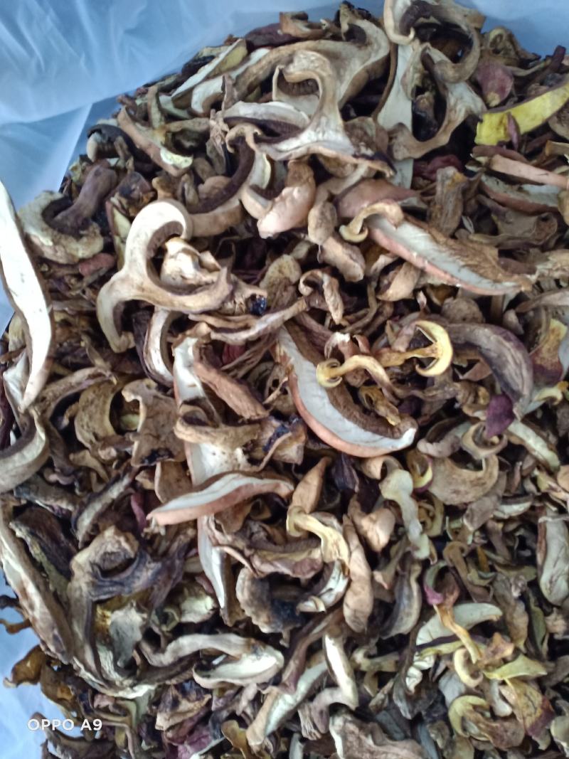 2020野生牛肝菌，红葱牛肝菌片，白葱牛肝菌片，无虫眼