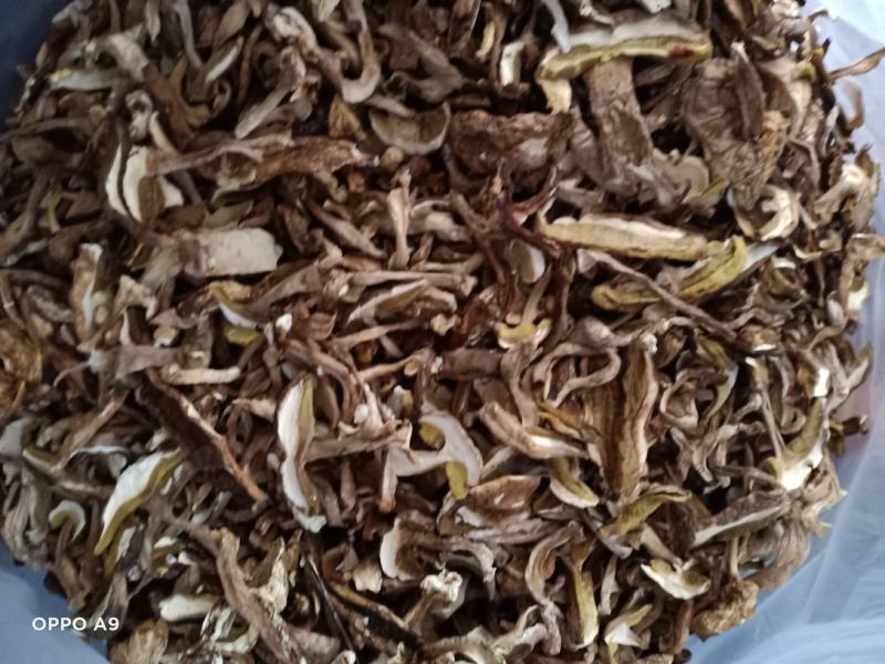 2020野生牛肝菌，红葱牛肝菌片，白葱牛肝菌片，无虫眼