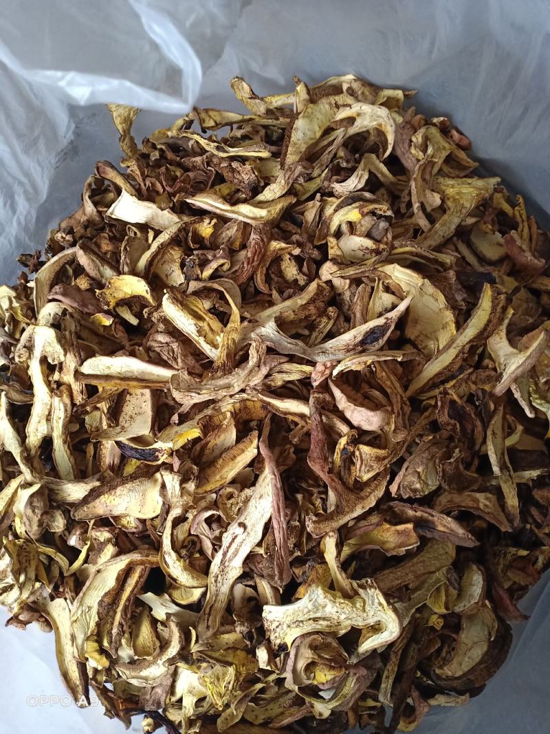 2020野生牛肝菌，红葱牛肝菌片，白葱牛肝菌片，无虫眼