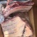 牛排，多肉牛排，国产牛排，四肋牛排，五肋牛排，8肋牛排