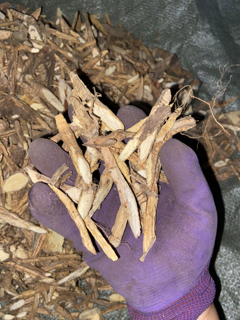 野生黑牛黑牛大力薯干片黄牛大力根片批发