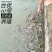 【泥鳅苗】杂交泥鳅苗台湾泥鳅鱼苗包技术可回收