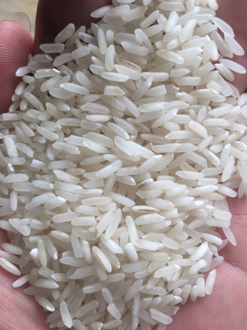 进口巴基斯坦白米5％