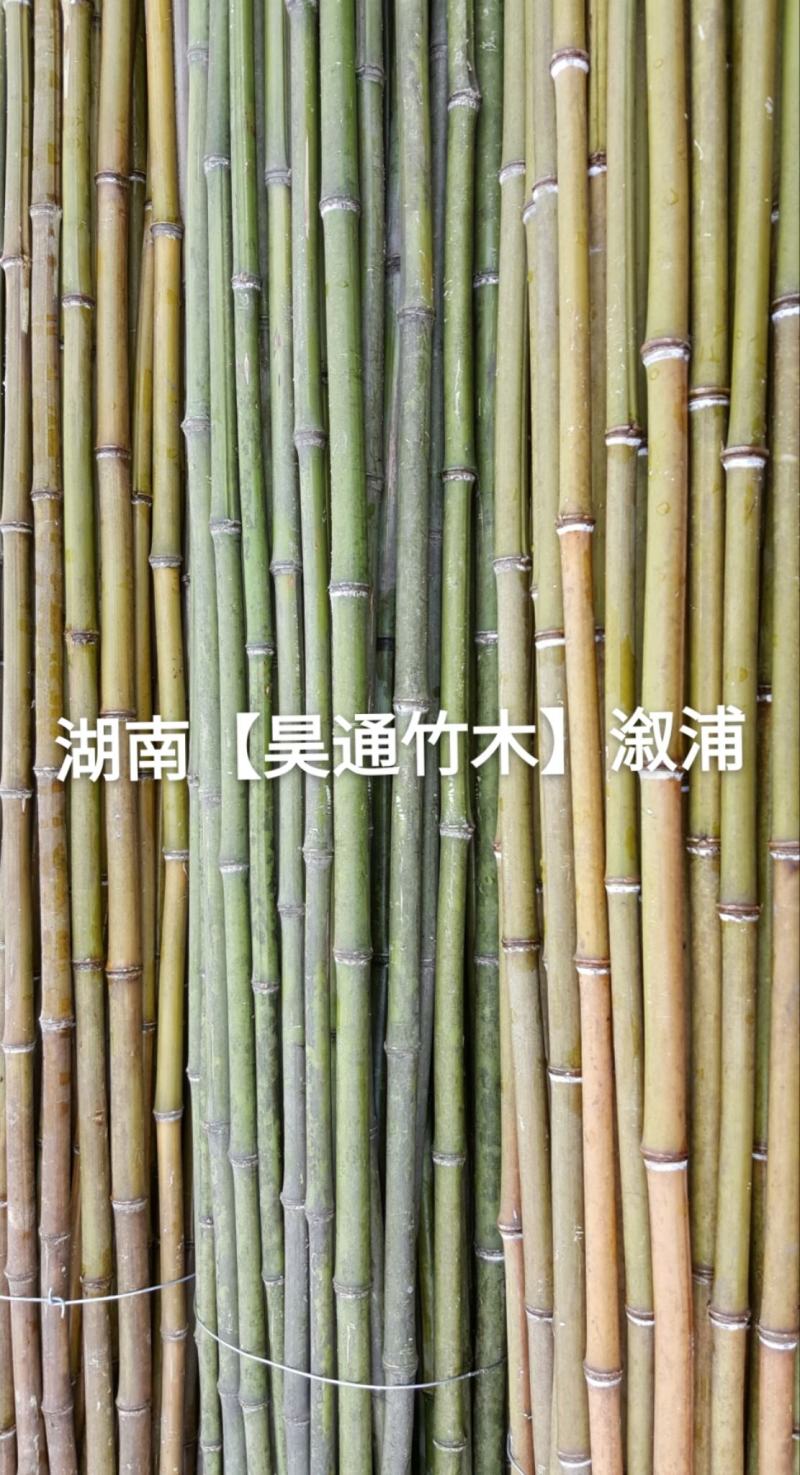 湘西雪峰山菜架竹、竹竿、竹架条2.4米金竹、铁竹