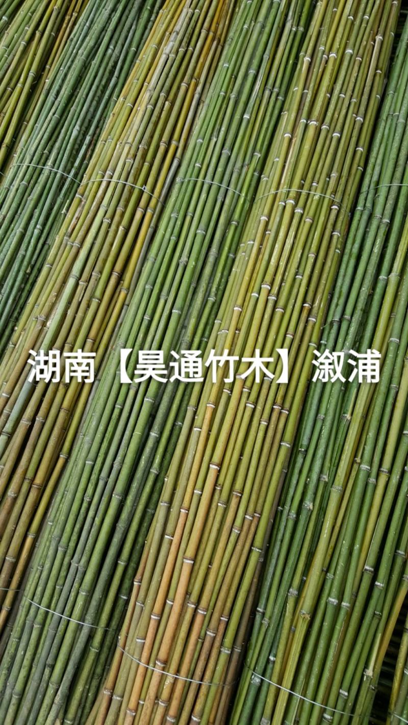 湘西雪峰山菜架竹、竹竿、竹架条2.4米金竹、铁竹