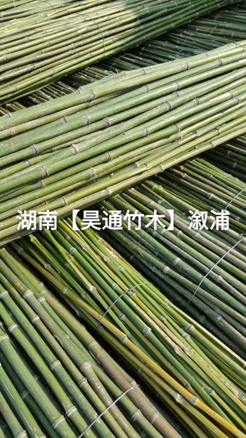 湘西雪峰山菜架竹、竹竿、竹架条2.4米金竹、铁竹