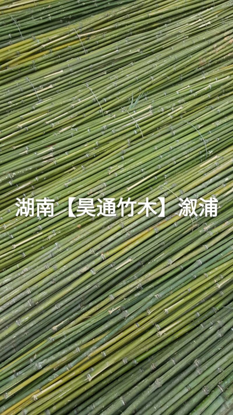 湘西雪峰山菜架竹、竹竿、竹架条2.4米金竹、铁竹