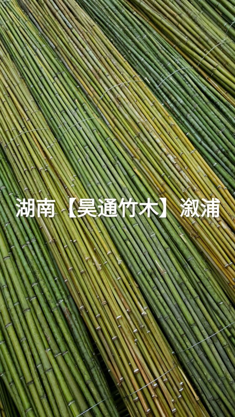 湘西雪峰山菜架竹、竹竿、竹架条2.4米金竹、铁竹