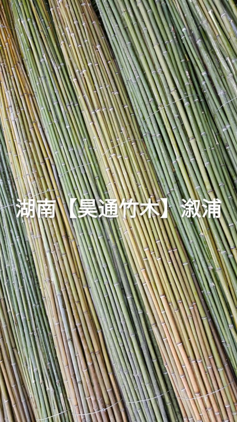 湘西雪峰山菜架竹、竹竿、竹架条2.4米金竹、铁竹