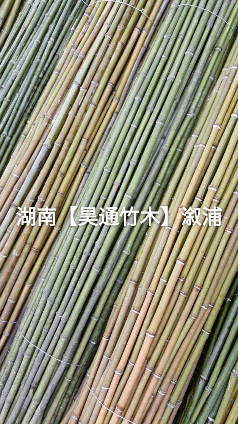 湘西雪峰山菜架竹、竹竿、竹架条2.4米金竹、铁竹