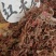 包邮！红天葵、青天葵半边伞独脚天葵，大中小叶货干颜色漂亮