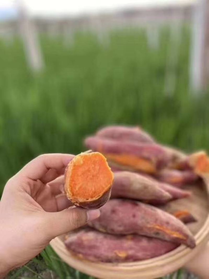 福建六鳌沙地红蜜薯番薯红心地瓜新鲜板栗香薯农家蔬菜包邮