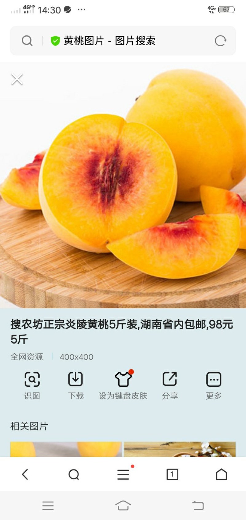水果蔬菜瓜果树水果蔬菜瓜果树