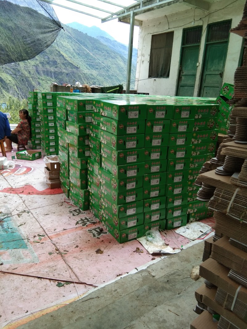 脆红李大量上市了。欢迎各位客商光临
