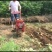 玉米播种机1行耘锄链轨田园机犁地机施肥机