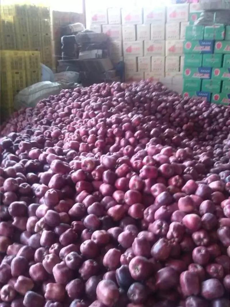 甘肃高山花牛，电商对接，市场供应
