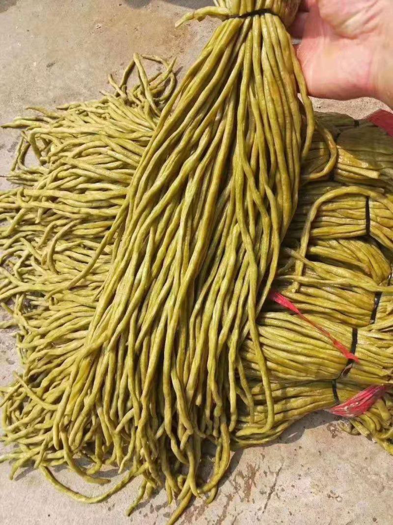 山东莘县董杜庄镇蔬菜基地长豆角豇豆大量上市