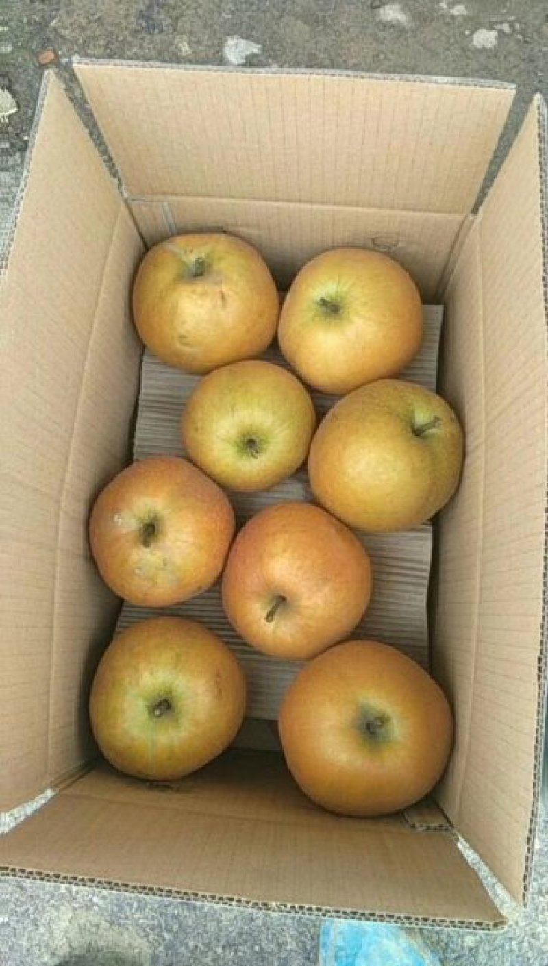 黄花梨百年老树质量有保证