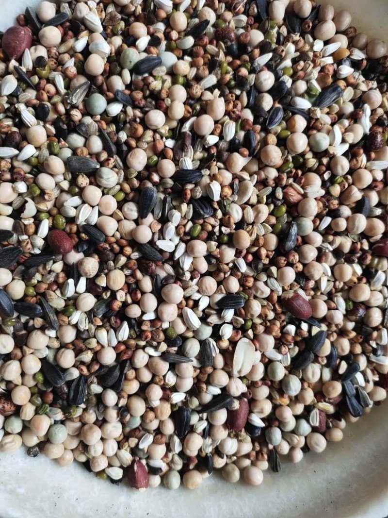黑麦，磨面黑麦，精选黑小麦