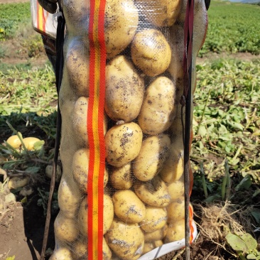 希森2两起步适合食堂、市场商超价格低廉