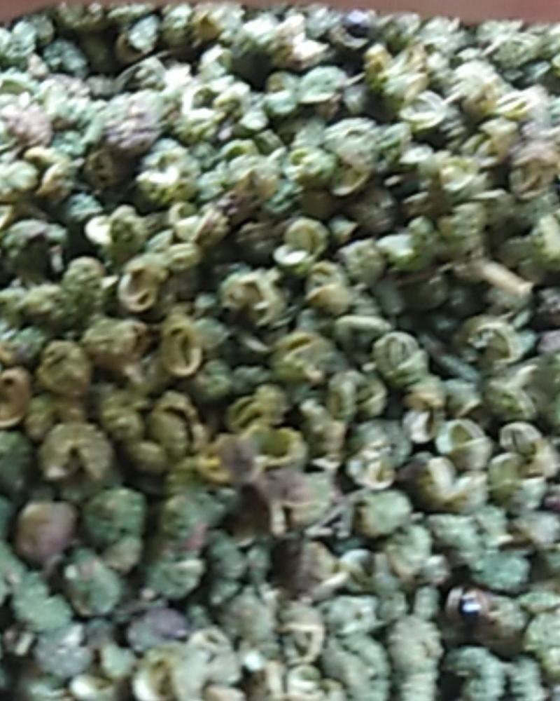 九叶青花椒，香麻味十足